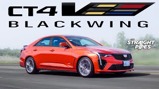 BUY THIS CAR NOW! 2023 Cadillac CT4V Blackwing Review