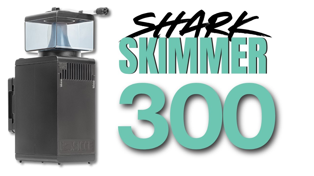 Shark Skimmer 300 | Aquarium Skimmer - YouTube