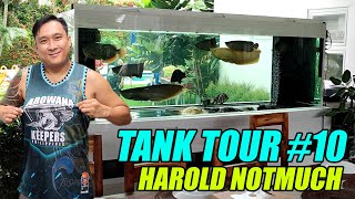 Tank Tour #10  Harold Notmuch | 600Gallons Arowana Community Tank