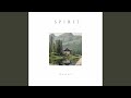 Spirit (Radio Edit)