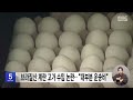 브라질산 계란 고가 수입 논란‥"대부분 운송비" (2026.10.15/5시뉴스와경제/MBC)
