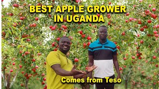 How this Ugandan earns Millions from Apple farming in Soroti