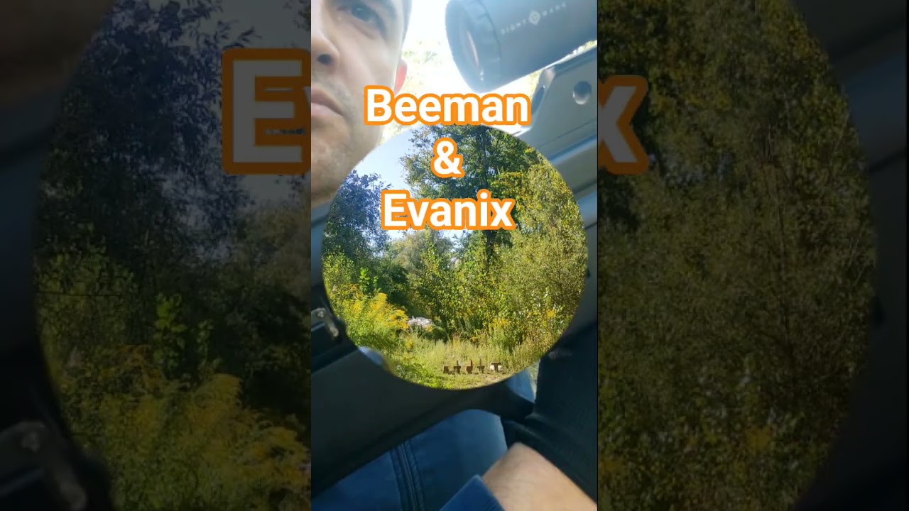 PSP rifles ranked by power 