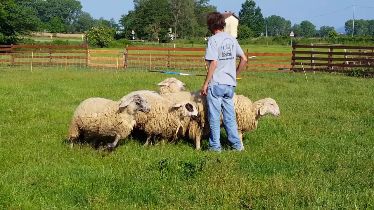 Session 2 ENCI module 6 Examen pratique par Steve Jaunin