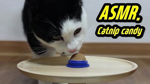 ASMR CAT Reviewing Catnip candy | Catrilyn Monroe ASMR