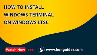 how to install windows terminal on windows ltsc