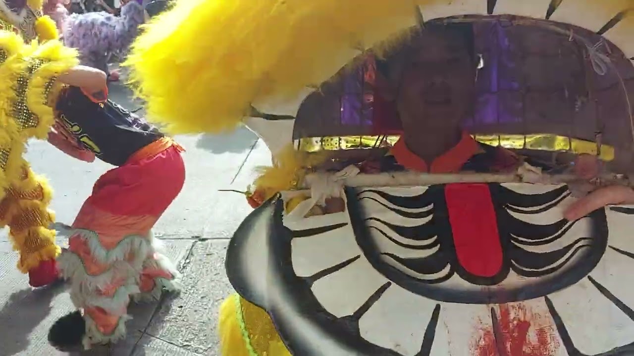 DESFILE DE AÑO NUEVO  CHINO 2026