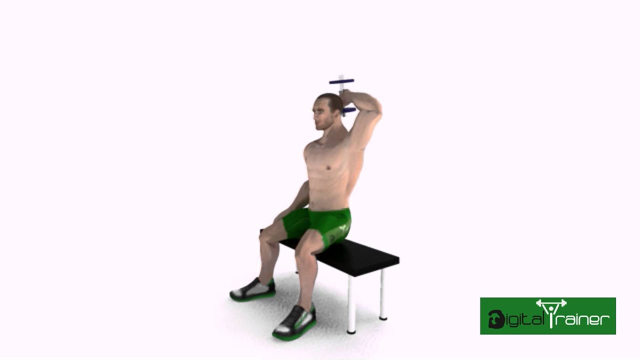 DTrainer. Extensiones de tríceps a un brazo sentado con agarre neutral