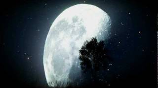 Moon Demonstration