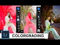 Colorgrading + Masking = Pro Edits😱 | Lightroom Pros Editing Tips!!!!