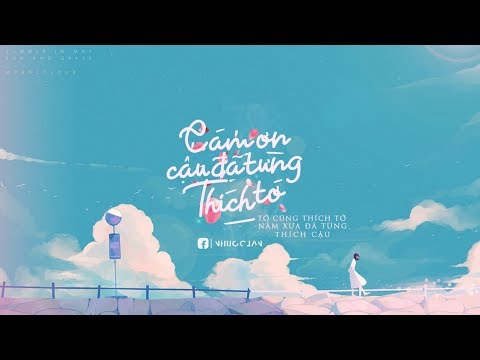 Video [ Lyrics + Vietsub ] CÁM ƠN CẬU NĂM ẤY ĐÃ TỪNG THÍCH... - youtube