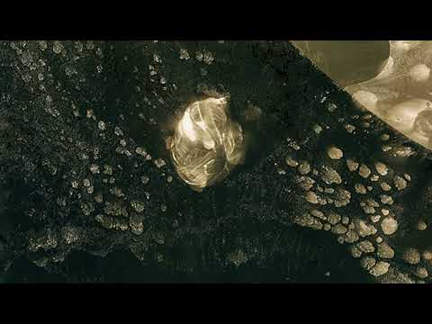 Kringa - All