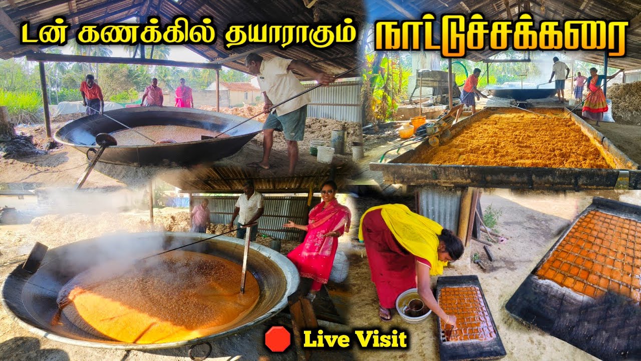 💯💥ஒரு நாளைக்கு 5 டன் உற்பத்தி செய்யும் நாட்டுச்சக்கரை தொழிற்சாலை😍🔥| Media பட்டதாரி #sugarfactory 