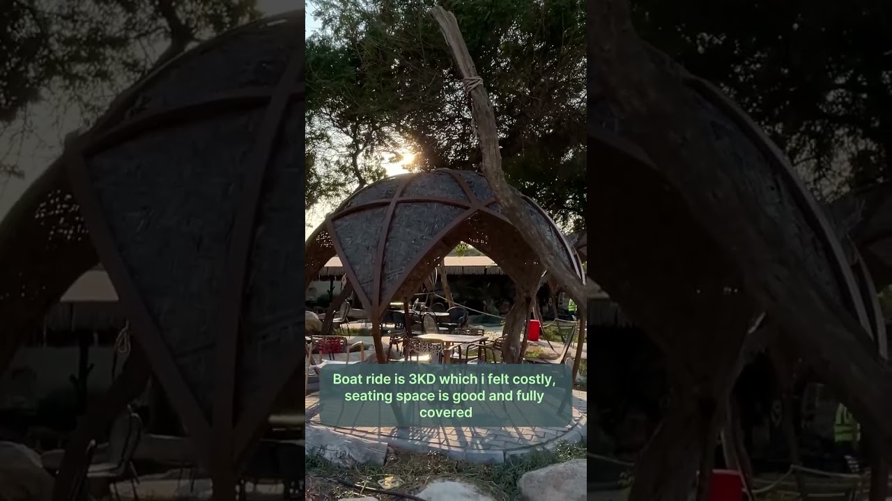 Little Jungle Kuwait. Youtube Shorts