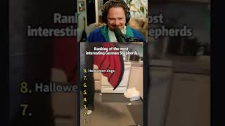 Funny Dog Meme
Funny Dog Meme Funny Dog Meme