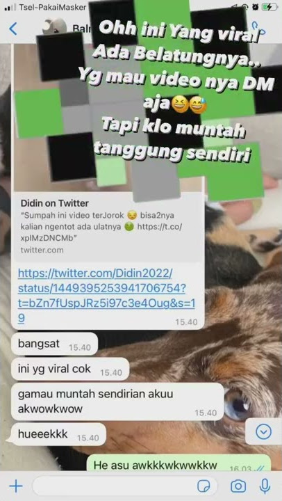 Skandal Belatung Viral di Twitter bikin muntah warga net