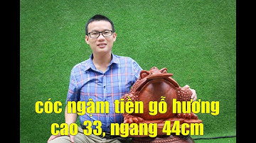 Cóc 3 chân gỗ hương | Thiềm thừ phong thủy ngậm tiền bằng gỗ hương, ngang 44cm, nghệ nhân chế tác