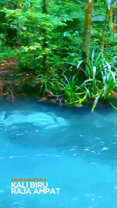 KALI BIRU RAJA AMPAT - PAPUA BARAT DAYA #papuabaratdaya #everlastingphotoart #rajaampat