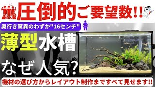 【大人気シリーズ】薄型・スリム水槽で作る水草水槽レイアウト完全公開