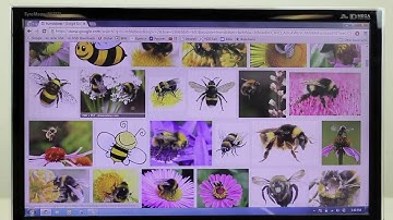 AVer F17 Document Camera Guided Tour for EU