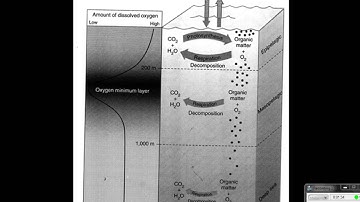 Oxygen Minimum layer