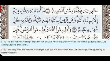 64 - Surah At Taghabun - Muhammad Jibril  - Quran Recitation, Arabic Text, English Translation