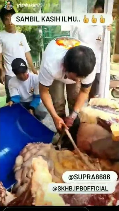 daging sapi wisanggeni a irfan hakim