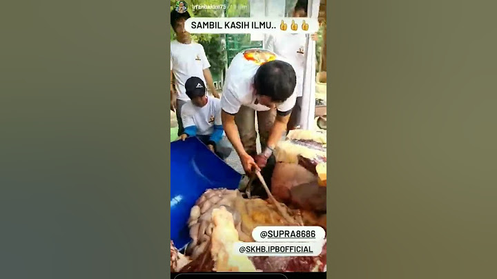 daging sapi wisanggeni a irfan hakim