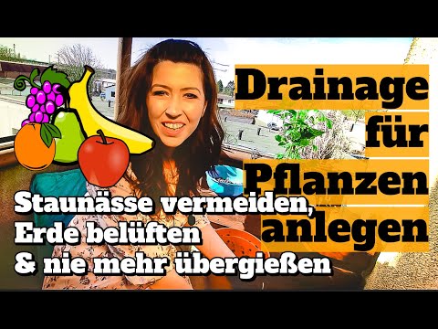 Video: Entwässerung Von Zimmerpflanzen: Was Ist Das? Was Kann Man Aus Altmaterialien Als Drainage Für Blumen Verwenden?