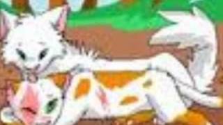 Cloudtail And Brightheart Awake And Alive