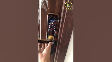 Khóa Cửa Vân Tay Kassler KL-696 Gold – Vẻ Đẹp Sang Trọng, An Toàn Tuyệt Đối