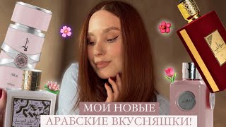 Арабская парфюмерия |  Ягодные, гурманские ароматы: YARA, Dirham, Ameerat Al Arab, Al Fursan 🎀