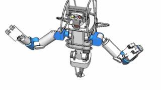 RRT on a dual arm robot