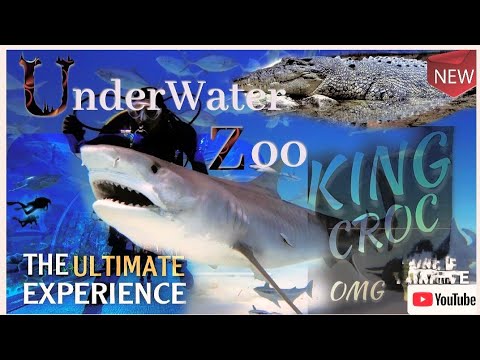 Travel- Dubai🇦🇪Underwater Zoo- इतनी बड़ी शार्क और मगरमच्छों को देखकर आपकी रूह कांप जाएगी😱🐊🦈