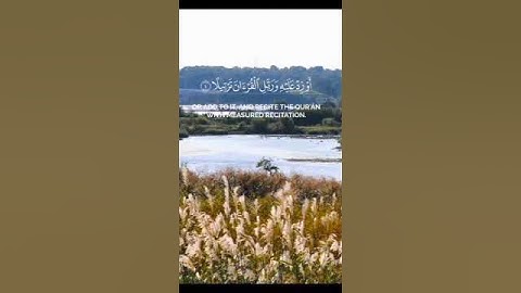 آيات مؤثرة من سورة المزمل بصوت الشيخ أحمد عبد الحي #القرآن_الكريم #سورةالمزمل