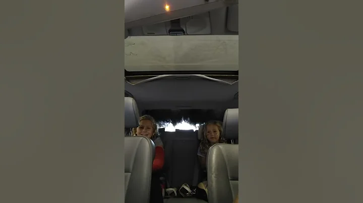 Kids in the car wash
