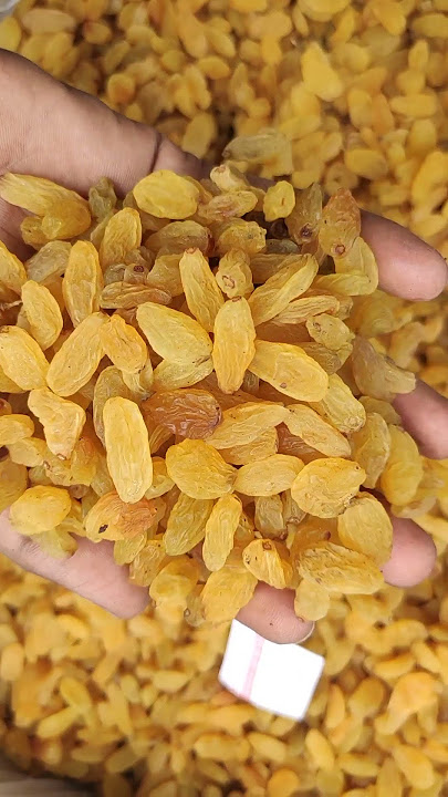 Premium quality Raisins (Kismis) Product - 20230361