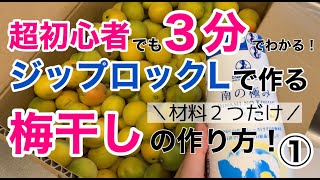 超初心者でも3分でわかる！ジップロックLで作る簡単！梅干しの作り方（塩分18%）その１塩漬けまで。How to make UMEBOSHI. ZiplockL/Step1 for biginner