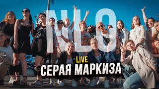 NLO - Серая маркиза (Live music video)