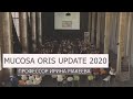 MUCOSA ORIS UPDATE 2020