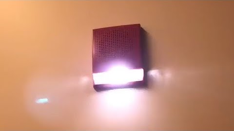 First Fire Drill | EST genesis speaker strobes