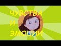 Учим эмоции и чувства. Развивающее видео для детей.