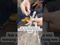 #phonk #anime #song #animeedit #music #chicken aseel morkha Pakistan Switzerland Canada Japan and