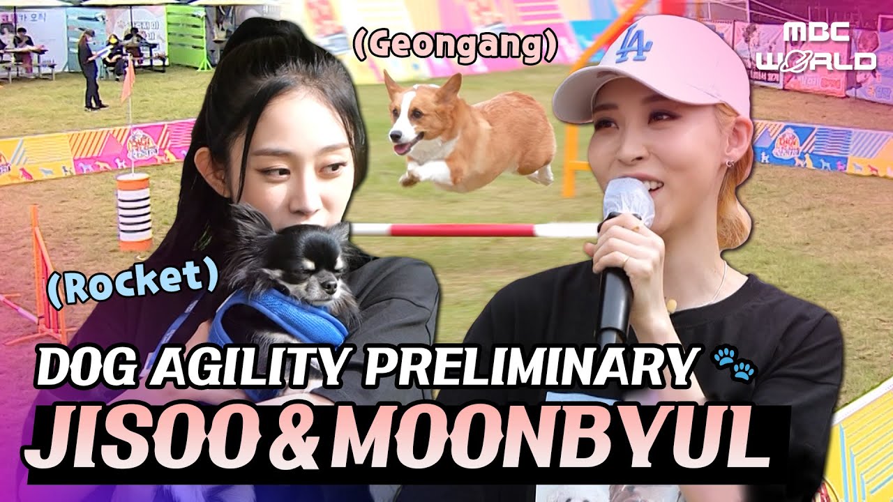 [C.C] Moonbyul's Dog Geongang vs Jisoo's Dog Rocket! Who's Making to the Finals? #MOONBYUL #SEOJISOO