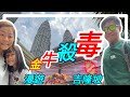 【3D金牛好震撼】柏威年廣場【步行到】雙子塔....一次過遊曬兩個景點...472  ● 吉隆坡市中心...香港人在馬來西亞MM2H生活