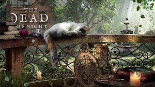 Enchanted English Garden Ambience 🐱🍎☕🌼 | Relaxing Spring Afternoon Sounds + Water Fountain