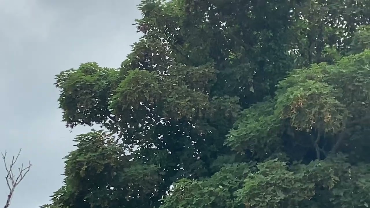 Irish Coast Guard S-92 departure from Sligo University Hospital