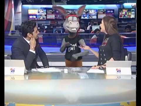 Download Donkey King Full Hd .mp4 .mp3 .3gp - Daily Movies Hub