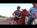 CHISQUEADA VS TEXANO VS TORBELLINO | CARRERAS DE CABALLOS | DE LA GARZA PHOTOFINISH