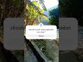 should I post vlog? vlog upload karun ? #pahadi #garhwali #mountainlife #asmr #minivlogs #trending